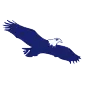 Eagle Financial Services INC logo