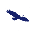 Logotipo de Eagle Bulk Shipping Inc.