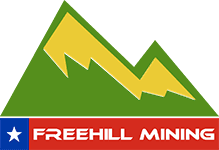 FHS logo