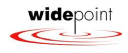 Logo Widepoint CORP