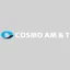 Logo 코스모신소재