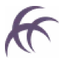 Logo 株式会社デュアルタップ