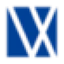 Virtualex Holdings, Inc. logo