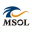 Management Solutions Co.,Ltd 标志