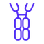 ALX Oncology Holdings INC logo