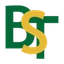 Bessor Minerals Inc. logo