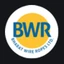 Logo Bharat Wire Ropes Limited