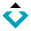 Logo Black Diamond Therapeutics, Inc.