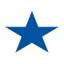 Logo Blue Star Foods Corp.