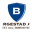 Logo Borgestad ASA
