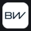 Logo BORGWARNER INC