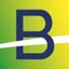 Logo Brazilian Rare Earths Limited