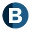 Logo Brookfield Real Estate Income Trust Inc.