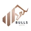 Logo Bulls Portföy Yönetimi A.Ş.