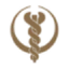 Bumrungrad Hospital Public Company Limited logo