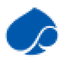 Logo CAPGEMINI