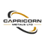 Capricorn Metals Ltd logo
