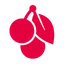 Logo Cherry SE
