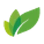 Shandong Weifang Rainbow Chemical Co., Ltd logo