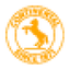 Continental Aktiengesellschaft logo