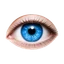Logo Diagnos Inc