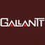 Gallantt Ispat Limited logo