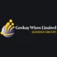 Logotipo de Geekay Wires Limited