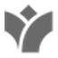 Giglio.com logo