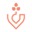 Logo Graines Voltz