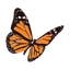 Logo Grey Matters Health Inc.