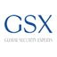 Logo Global Security Experts Inc.