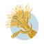 Logo Heavitree Brewery PLC