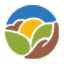 LT Foods Limited logo