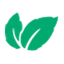 MINT 标志