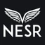 National Energy Services Reunited Corp. logo