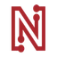 NETLIST INC logo