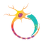 Logo Oculis Holding AG