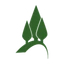 Pinetree Capital Ltd. logo