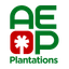 Plantation Corp. logo