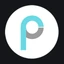 Pony AI Inc. logo
