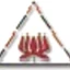 Logo Premier Polyfilm Limited