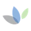 Protara Therapeutics, Inc. logo
