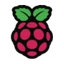 Raspberry Pi Holdings PLC logo