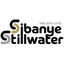 Logo Sibanye Stillwater Ltd