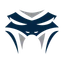 Logo Silver Viper Minerals Corp.