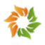 Logo Solara Active Pharma