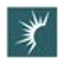 Logo Solaris Energy Infrastructure, Inc.