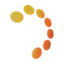 SOLESENCE, INC. logo