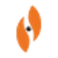 Logo Stereotaxis, Inc.