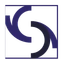 Storm Exploration Inc. logo